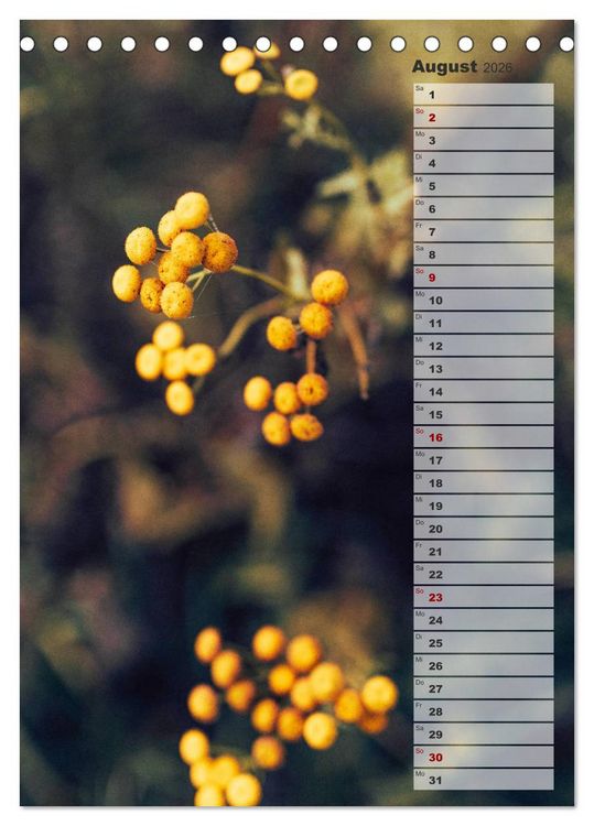Produktbild: Kalender - Natur im Detail (Tischkalender 2026 DIN A5 hoch), CALVENDO Monatskalender