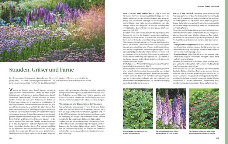 Produktbild: Das gro&szlig;e Praxishandbuch Garten