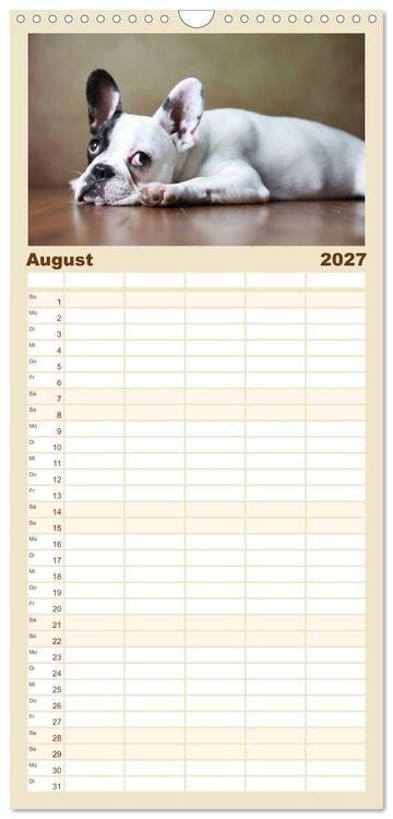 Produktbild: Familienplaner 2027 - Charme auf vier Pfoten - Franz&ouml;sische Bulldoggen Portraits mit 5 Spalten (Wandkalender, 21 x 45 cm) CALVENDO