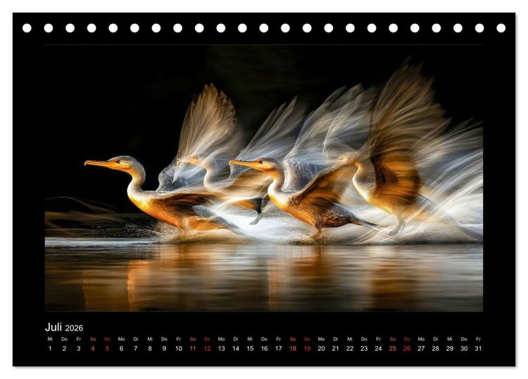Produktbild: Wundervolle Augenblicke (Tischkalender 2026 DIN A5 quer), CALVENDO Monatskalender