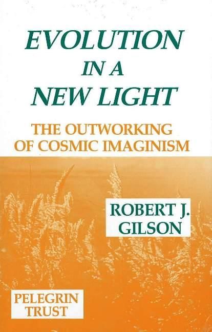 Produktbild: Gilson, R: Evolution in a New Light