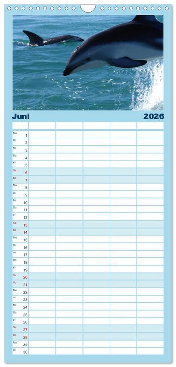 Produktbild: Familienplaner 2026 - Delfine - L&auml;chelnde Intelligenz mit 5 Spalten (Wandkalender, 21 x 45 cm) CALVENDO