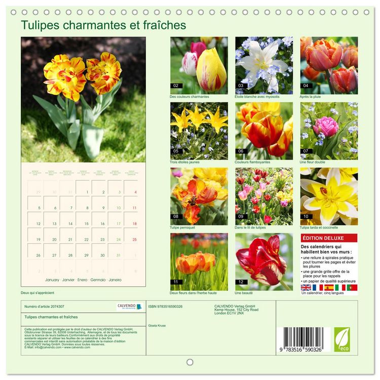 Produktbild: Tulipes charmantes et fra&icirc;ches (Calendrier mural carr&eacute; 2026 30x30 cm) Calendrier double avec une page pour vos prises de notes