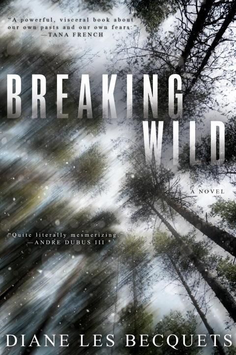 Produktbild: Breaking Wild