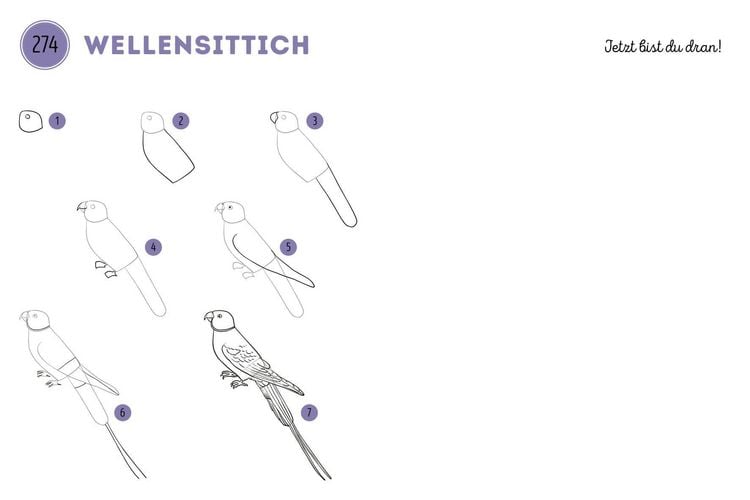 Produktbild: 300 Motive zeichnen &ndash;&nbsp;Tiere