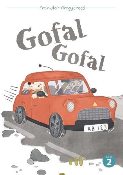 Produktbild: Cyfres Archwilio'r Amgylchedd: Gofal Gofal
