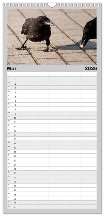 Produktbild: Familienplaner 2026 - Rabenschwarze Impressionen - meike-ajo-dettlaff.de via wildvogelhlfe.org mit 5 Spalten (Wandkalender, 21 x 45 cm) CALVENDO