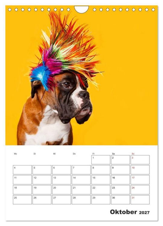 Produktbild: colorful world of boxer 2027 (Wandkalender 2027 DIN A4 hoch), CALVENDO Monatskalender