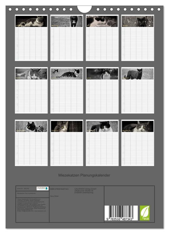 Produktbild: Miezekatzen Planungskalender (Wandkalender 2026 DIN A4 hoch), CALVENDO Monatskalender
