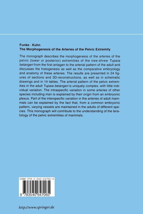 Produktbild: The Morphogenesis of the Arteries of the Pelvic Extremity