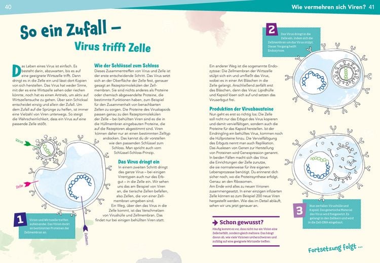 Produktbild: WAS IST WAS Naturwissenschaften easy! Biologie. Die Viren und wir