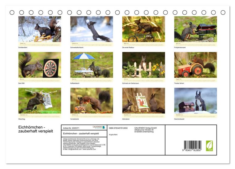 Produktbild: Eichh&ouml;rnchen - zauberhaft verspielt (Tischkalender 2026 DIN A5 quer), CALVENDO Monatskalender