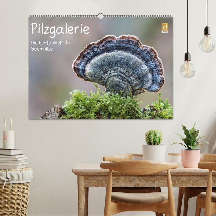 Produktbild: Pilzgalerie - Die bunte Welt der Baumpilze (Wandkalender 2026 DIN A2 quer), CALVENDO Monatskalender