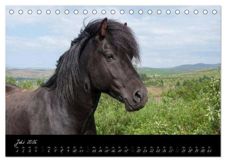 Produktbild: Charakterk&ouml;pfe Islandpferde (Tischkalender 2026 DIN A5 quer), CALVENDO Monatskalender
