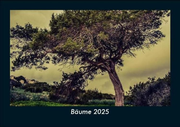 Produktbild: B&auml;ume 2025 Fotokalender DIN A5