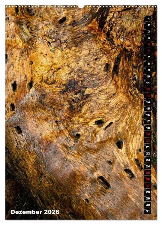 Produktbild: B&auml;ume anders gesehen (hochwertiger Premium Wandkalender 2026 DIN A2 hoch), Kunstdruck in Hochglanz