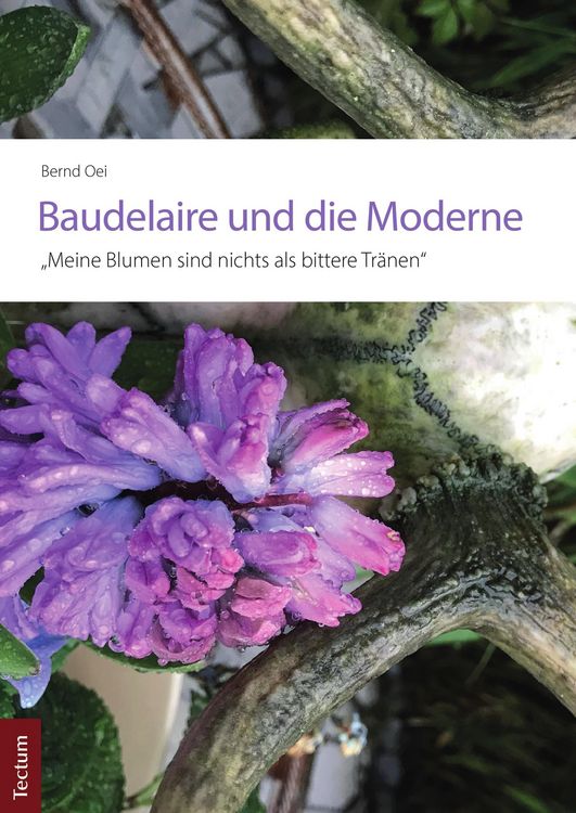 Produktbild: Baudelaire und die Moderne