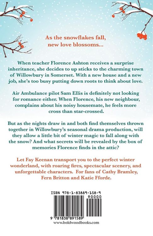Produktbild: Snowflakes Over Bay Tree Terrace