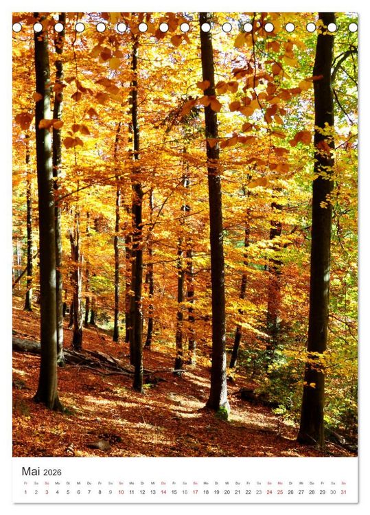 Produktbild: Faszination der Farben im Naturpark Lappwald (Tischkalender 2026 DIN A5 hoch), CALVENDO Monatskalender