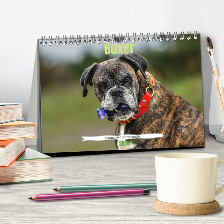 Produktbild: Boxer - charmante Herzensbrecher (Tischkalender 2026 DIN A5 quer), CALVENDO Monatskalender