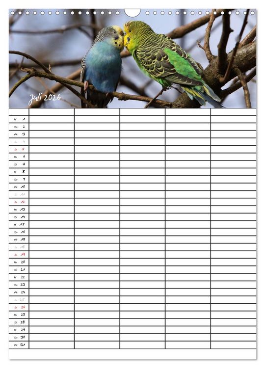 Produktbild: Wellensittiche (Wandkalender 2026 DIN A3 hoch), CALVENDO Monatskalender