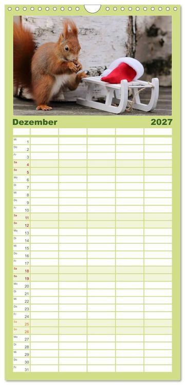 Produktbild: Familienplaner 2027 - Eichh&ouml;rnchen Momentaufnahmen f&uuml;rs Herz mit 5 Spalten (Wandkalender, 21 x 45 cm) CALVENDO