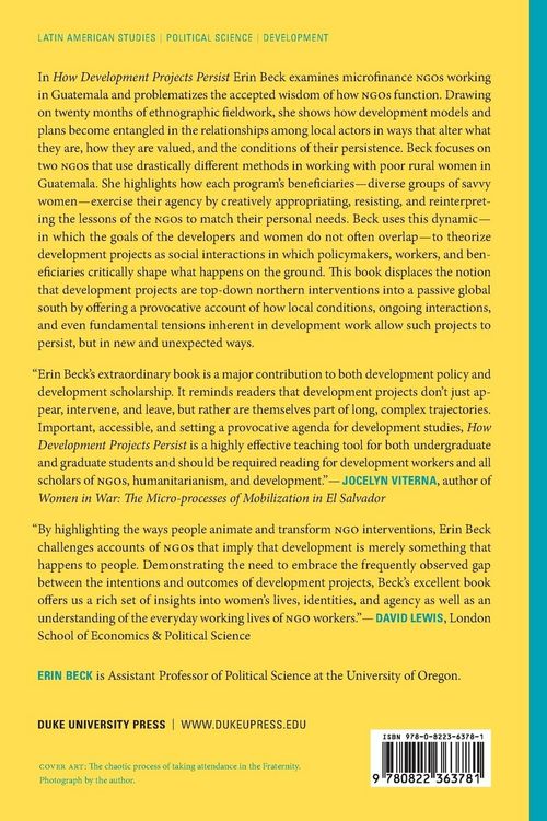Produktbild: How Development Projects Persist