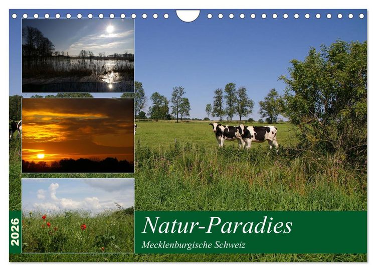 Produktbild: Natur-Paradies Mecklenburgische Schweiz (Wandkalender 2026 DIN A4 quer), CALVENDO Monatskalender