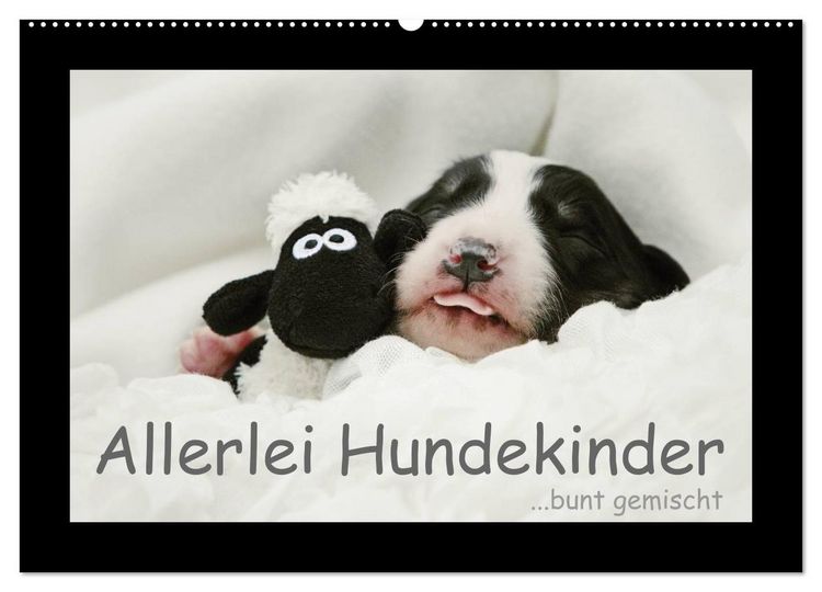 Produktbild: Allerlei Hundekinder (Wandkalender 2026 DIN A2 quer), CALVENDO Monatskalender