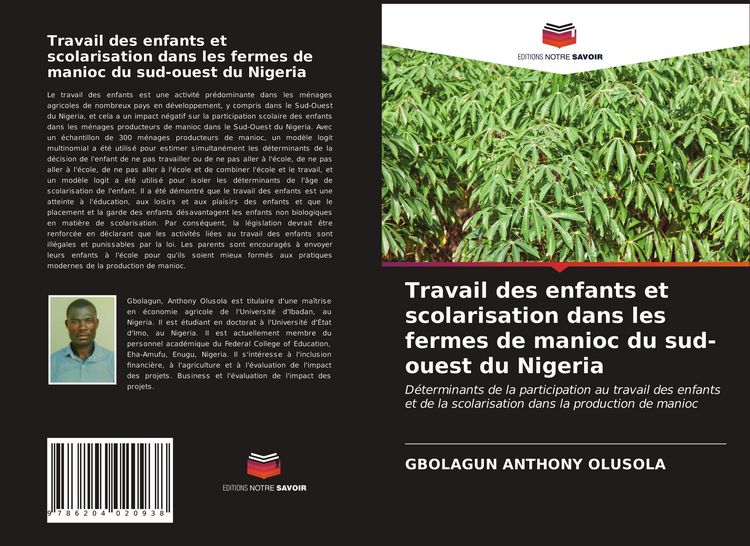 Produktbild: Travail des enfants et scolarisation dans les fermes de manioc du sud-ouest du Nigeria