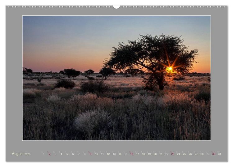 Produktbild: Namibia - Die Farben der Namib (hochwertiger Premium Wandkalender 2026 DIN A2 quer), Kunstdruck in Hochglanz
