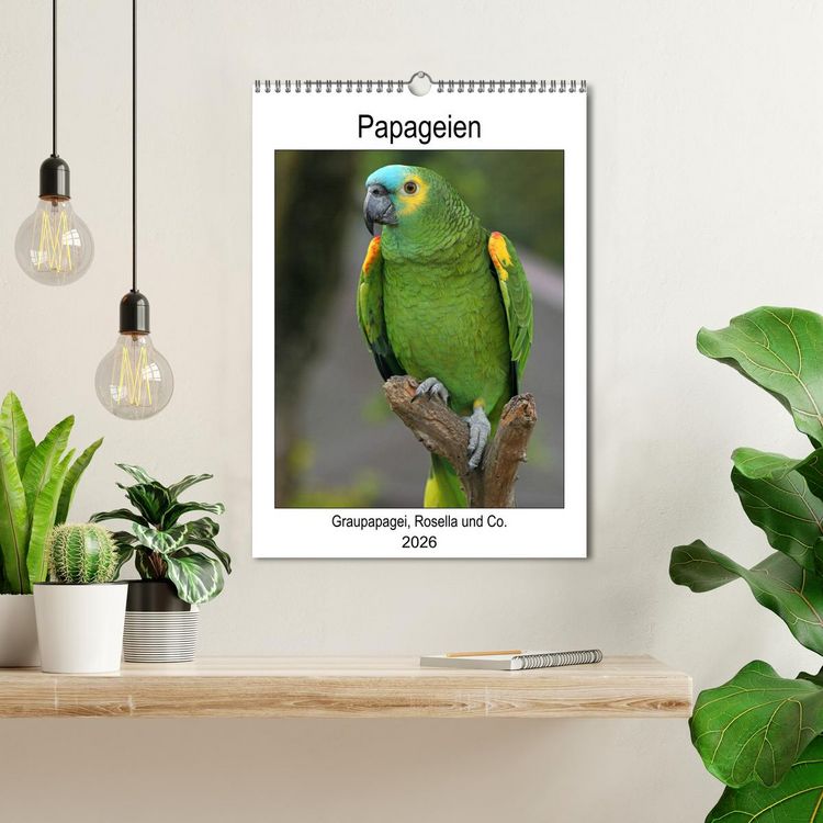 Produktbild: Papageien - Graupapagei, Rosella und Co. (Wandkalender 2026 DIN A3 hoch), CALVENDO Monatskalender