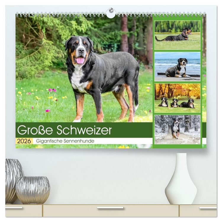 Produktbild: Gro&szlig;e Schweizer - Gigantische Sennenhunde (hochwertiger Premium Wandkalender 2026 DIN A2 quer), Kunstdruck in Hochglanz