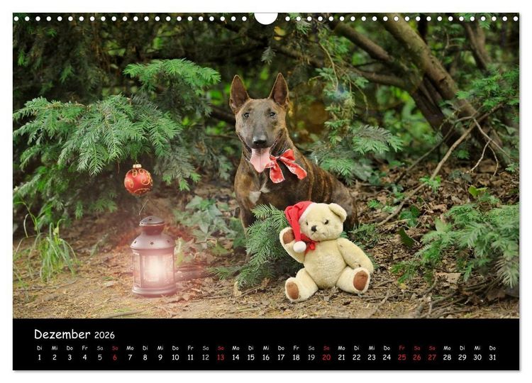 Produktbild: Bullterrier? Was sonst! (Wandkalender 2026 DIN A3 quer), CALVENDO Monatskalender