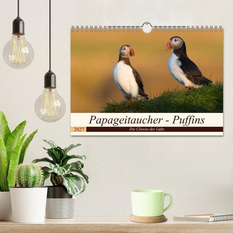 Produktbild: Papageitaucher - Puffins (Wandkalender 2027 DIN A4 quer), CALVENDO Monatskalender
