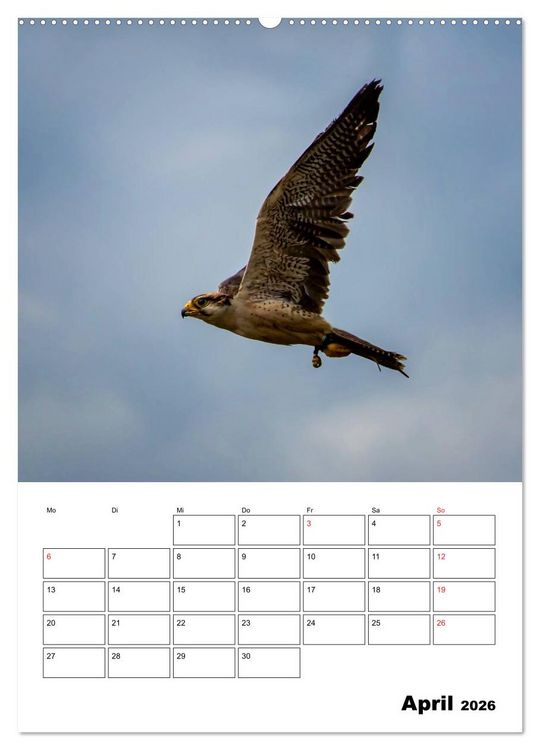 Produktbild: Raub- und Greifv&ouml;gel im Flug (hochwertiger Premium Wandkalender 2026 DIN A2 hoch), Kunstdruck in Hochglanz