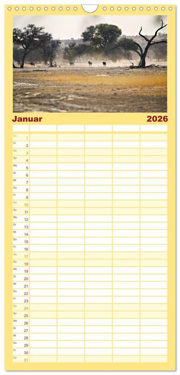 Produktbild: Familienplaner 2026 - Kgalagadi - Fauna und Wildtiere in der Kalahari mit 5 Spalten (Wandkalender, 21 x 45 cm) CALVENDO