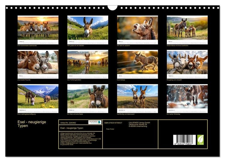 Produktbild: Esel - neugierige Typen (Wandkalender 2027 DIN A3 quer), CALVENDO Monatskalender