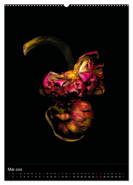 Produktbild: Blumen bei Nacht (hochwertiger Premium Wandkalender 2026 DIN A2 hoch), Kunstdruck in Hochglanz