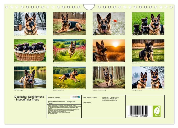 Produktbild: Deutscher Sch&auml;ferhund - Inbegriff der Treue (Wandkalender 2026 DIN A4 quer), CALVENDO Monatskalender