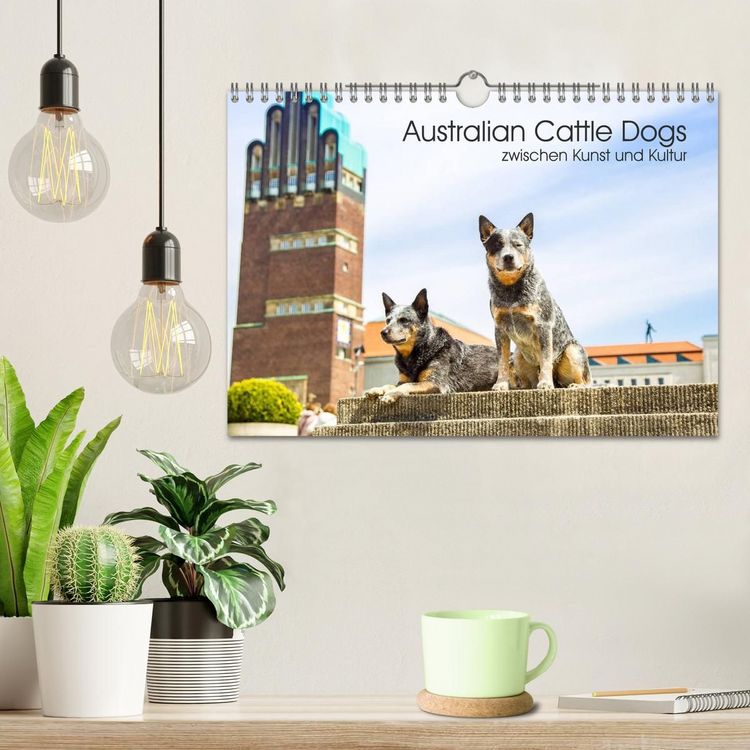 Produktbild: Australian Cattle Dogs zwischen Kunst und Kultur (Wandkalender 2027 DIN A4 quer), CALVENDO Monatskalender
