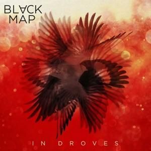Produktbild: In Droves