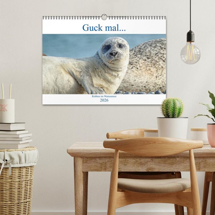 Produktbild: Guck mal ... Robben im Wattenmeer (Wandkalender 2026 DIN A3 quer), CALVENDO Monatskalender