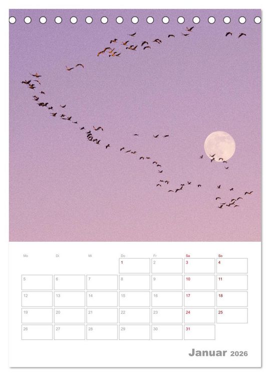 Produktbild: VOLLMOND-Planer - Im Licht der Nacht (Tischkalender 2026 DIN A5 hoch), CALVENDO Monatskalender