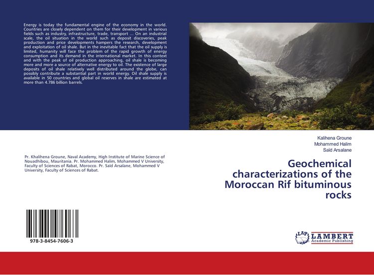 Produktbild: Geochemical characterizations of the Moroccan Rif bituminous rocks