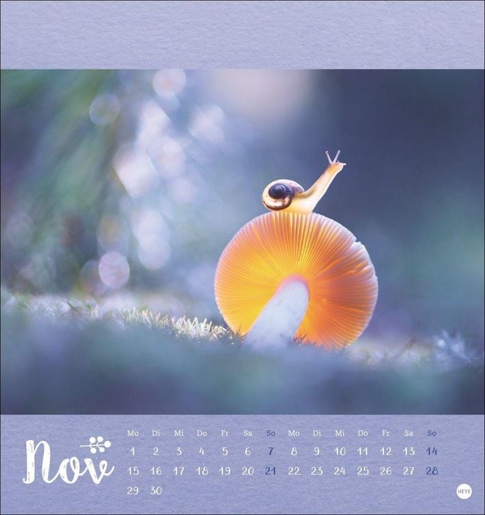Produktbild: Vadim Trunov: M&auml;rchenhaftes Waldleben Postkartenkalender 2027