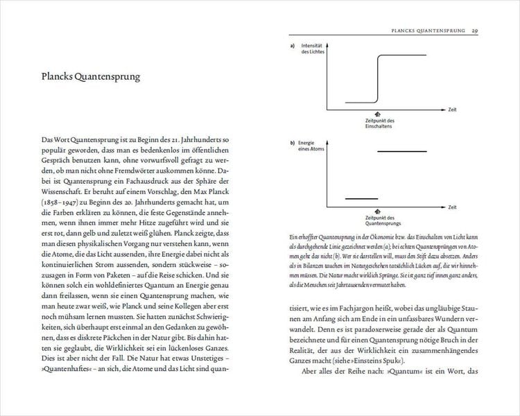 Produktbild: Schr&ouml;dingers Katze auf dem Mandelbrotbaum. Die Schl&uuml;sselideen der gro&szlig;en Forscher