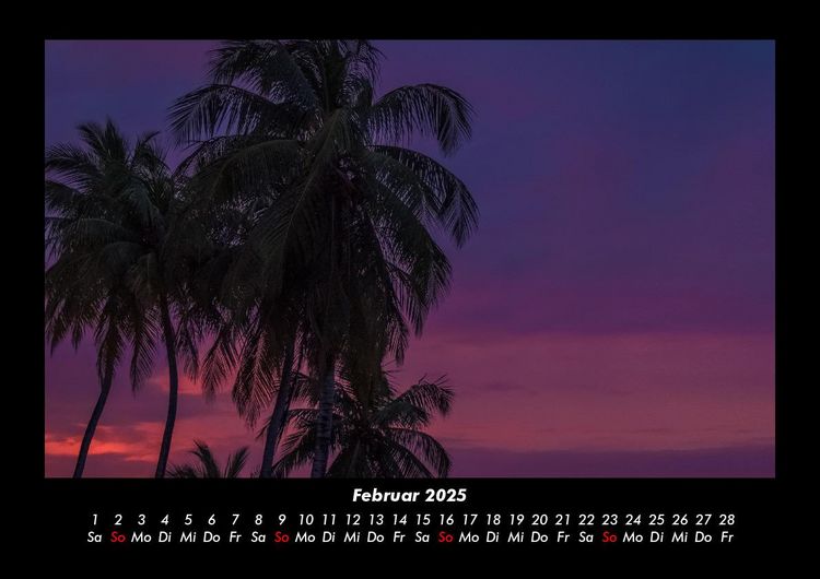 Produktbild: Palmen 2025 Fotokalender DIN A3