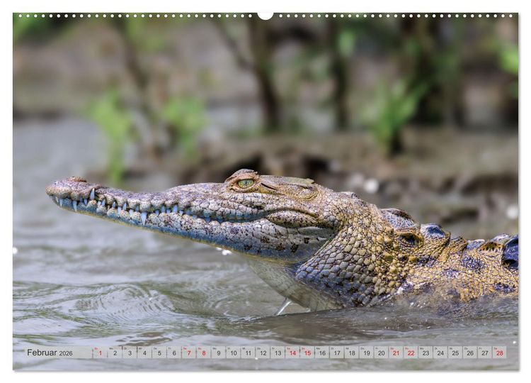 Produktbild: Tropenparadies zwischen Ozeanen Costa Rica (Wandkalender 2026 DIN A2 quer), CALVENDO Monatskalender