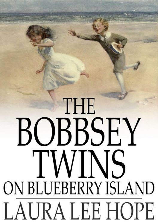 Produktbild: Bobbsey Twins on Blueberry Island